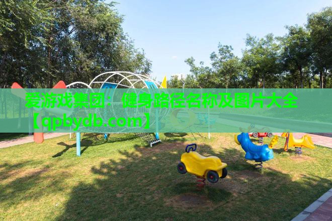 爱游戏集团：健身路径名称及图片大全