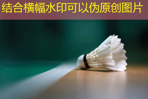 小区内安装篮球架的规定