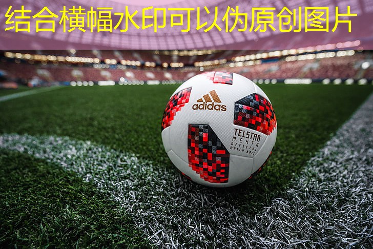 ayx爱游戏官网首页：一般健身房的跑步机多少钱