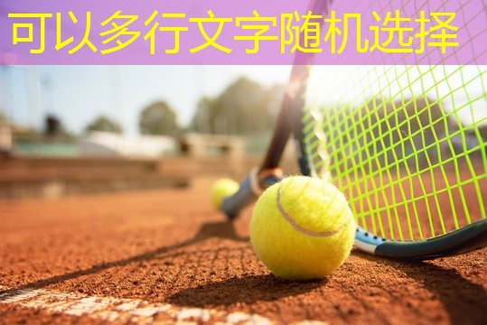 爱游戏网站：羽毛球双打场地
