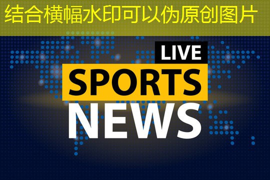 瑜伽球之旅：挑战平衡、柔韧与力量的新征程
