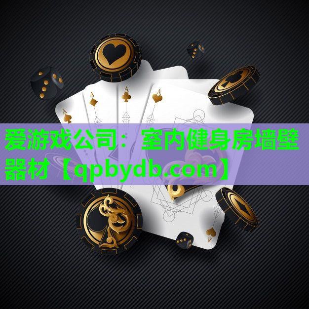 室内健身房墙壁器材 室内健身房墙壁器材