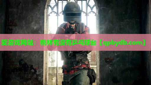 桃林有没有乒乓球台 桃林有没有乒乓球台