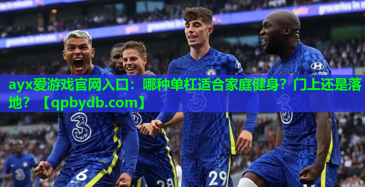 哪种单杠适合家庭健身?门上还是落地? 哪种单杠适合家庭健身?门上还是落地?