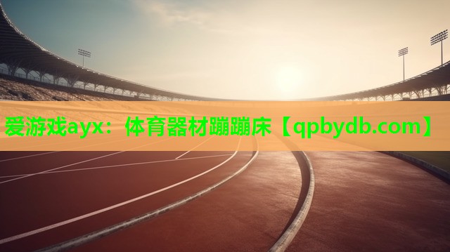 体育器材蹦蹦床 体育器材蹦蹦床