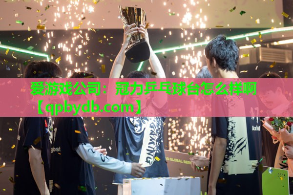 冠力乒乓球台怎么样啊 冠力乒乓球台怎么样啊
