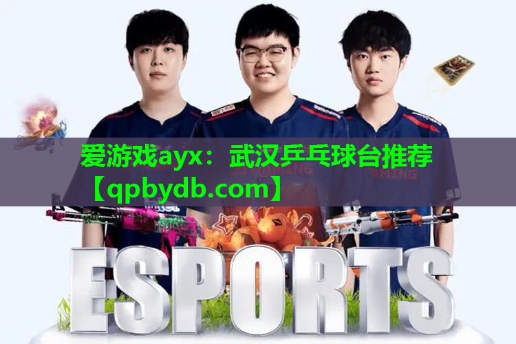 武汉乒乓球台推荐 武汉乒乓球台推荐