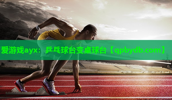 乒乓球台变桌球台 乒乓球台变桌球台