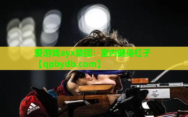 室内健身杠子 室内健身杠子