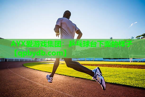 乒乓球台下面的样子 乒乓球台下面的样子