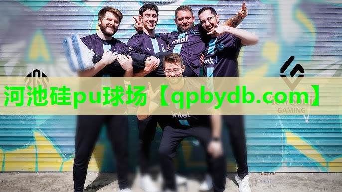 河池硅pu球场 河池硅pu球场
