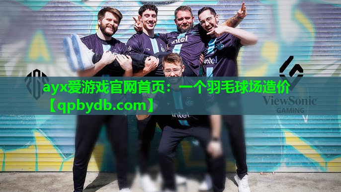 一个羽毛球场造价 一个羽毛球场造价