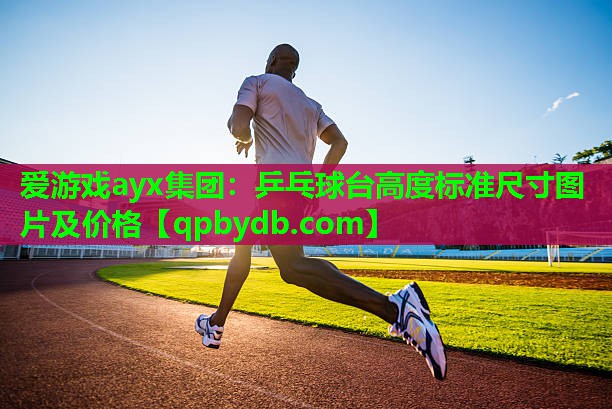 乒乓球台高度标准尺寸图片及价格 乒乓球台高度标准尺寸图片及价格