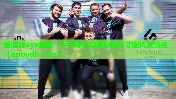 乒乓球台高度标准尺寸图片及价格 乒乓球台高度标准尺寸图片及价格