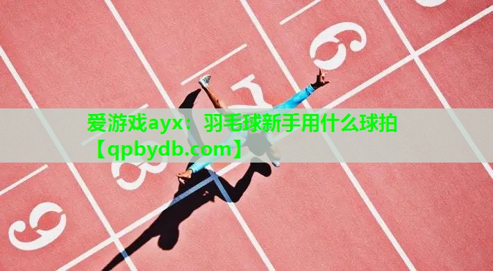 羽毛球新手用什么球拍 羽毛球新手用什么球拍